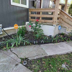Flower Bed Weeding by JBL Landscaping reviewed on November 23, 2025