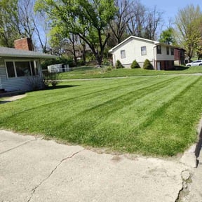 grass cutting by Busy Bee's Lawn Care LLC reviewed on October 9, 2024