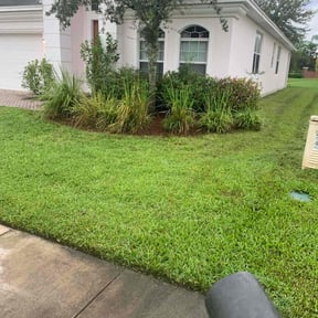 Flower Bed Weeding by Sergio reviewed on August 21, 2025