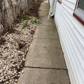 Leaf Removal by Express Innovations reviewed on August 18, 2025