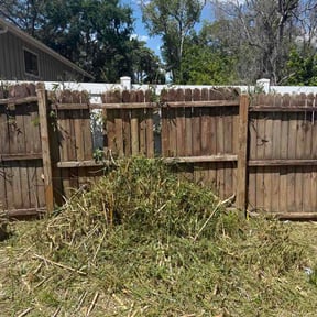 Bush Trimming by Tovar Landscaping reviewed on April 19, 2026