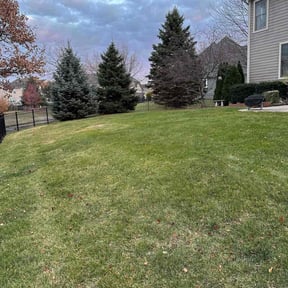 Leaf Removal by Greater Green Landscaping reviewed on November 22, 2025