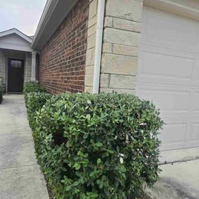 Bush Trimming by 3J’s Lawn Care and Gardening Service reviewed on October 20, 2025