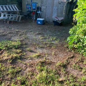 Leaf Removal by Kyle Lawn Works reviewed on October 3, 2025