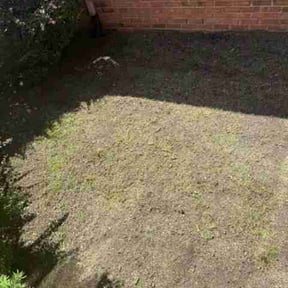 Flower Bed Weeding by Together Family Landscapes LLC reviewed on June 8, 2026