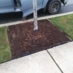Flower Bed Weeding by TIMBERLAND Pro Landscaping reviewed on August 16, 2025