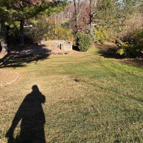 Leaf Removal by Romero's Quality Lawn Service reviewed on November 24, 2025