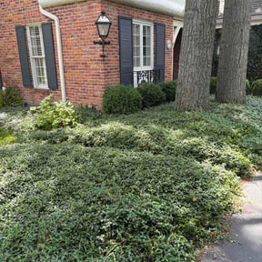 Flower Bed Weeding by Type A Lawn Guy reviewed on June 18, 2026