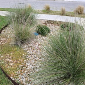 Flower Bed Weeding by Y.A.Y Landscaping reviewed on August 17, 2025