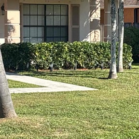 Bush Trimming by Big Rocks Landscaping &amp; Demolition reviewed on November 9, 2017