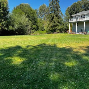 lawn care by Garden Gangster Landscape Restoration Specialists reviewed on April 15, 2024