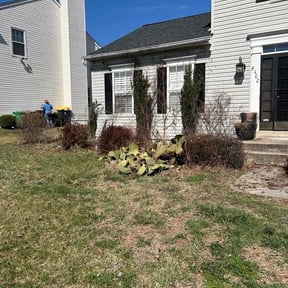 Bush Trimming by Helping Hands Lawncare Service reviewed on March 7, 2026