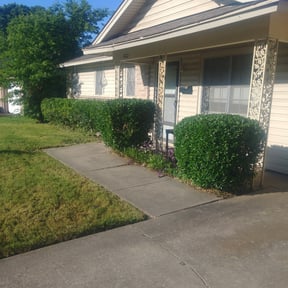 Bush Trimming by OC Lawn Care Services reviewed on August 20, 2025