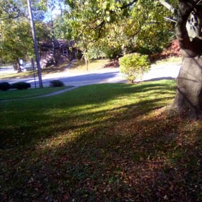 Bush Trimming by Stevens Lawncare reviewed on August 17, 2025