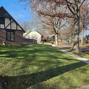 Leaf Removal by Swagg Lawn Care Solutions, LLC. reviewed on December 8, 2025