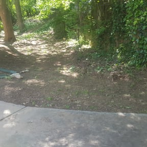 Leaf Removal by Yard Dr. LLC reviewed on September 24, 2025