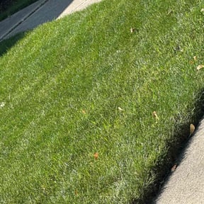 turf maintenance by Elite Care reviewed on June 20, 2025