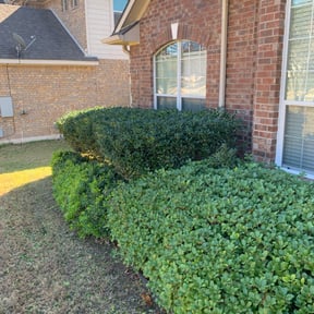 Bush Trimming by Luna Lawn Care reviewed on May 14, 2024