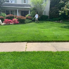 yard service by Livery Services LTD, llc reviewed on August 15, 2025