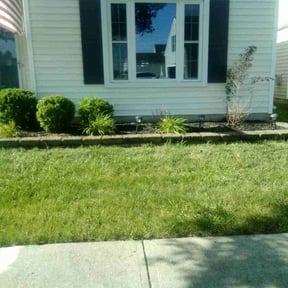 Flower Bed Weeding by Carter Lawn Service reviewed on August 14, 2025