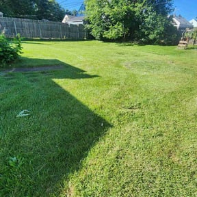 grass cutting by Mcqueens lawn care reviewed on November 7, 2023