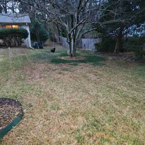 Leaf Removal by Ayala Lawn Services LLC reviewed on December 4, 2025