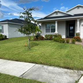 Long Grass Cleanup by LawnMax reviewed on July 11, 2018