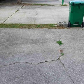 Bush Trimming by Morris Landscaping Services reviewed on August 17, 2025