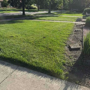 Leaf Removal by Hickman Turf &amp; Lawn Care LLC reviewed on July 18, 2026