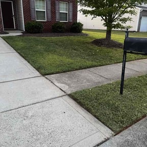 yard care by Martell's lawn care reviewed on August 18, 2025