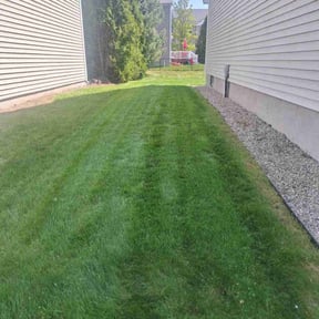 turf care by Shortys handyman lawn and snow removal reviewed on August 21, 2025