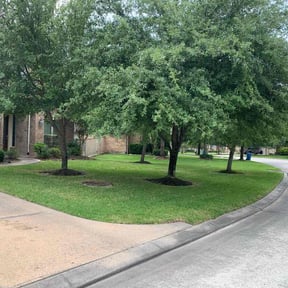 turf maintenance by Sustainable Lawn Care of Ohio reviewed on September 7, 2023