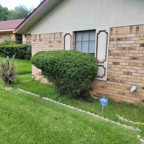 Bush Trimming by American Pride Property Services reviewed on August 21, 2025