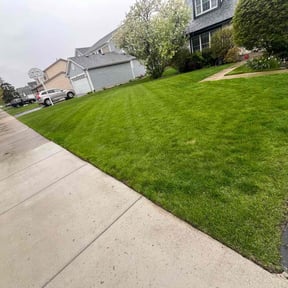 turf maintenance by Kandascapes reviewed on August 19, 2025