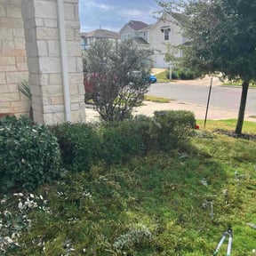 Bush Trimming by Back To Eden Lawn Service reviewed on October 18, 2025