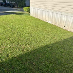 landscaping by Mobile Lawns reviewed on August 18, 2025