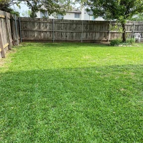 yard work by Bird lawn&tree service reviewed on August 21, 2025