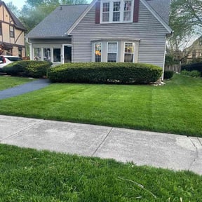 yard care by AJM Landscaping reviewed on August 19, 2025