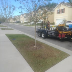 Bush Trimming by Halerem lawn service reviewed on June 10, 2023