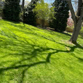residential landscaping by Stetty's Lawn LLC reviewed on August 17, 2025