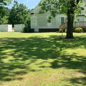 grass maintenance by Rjm reviewed on July 13, 2022