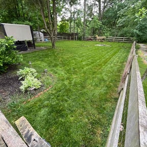 yard service by D&k Taylor lawn care reviewed on August 19, 2025