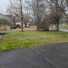 Leaf Removal by Jay's Tree and Lawn reviewed on December 31, 2025