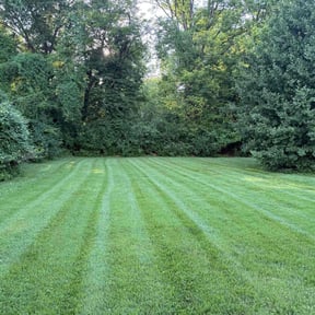 grass maintenance by do it all lawn care reviewed on August 20, 2025