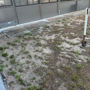 Leaf Removal by FRL Landscaping reviewed on September 23, 2025