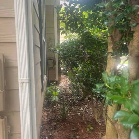 Leaf Removal by Daly Lawn and Landscape reviewed on July 13, 2026