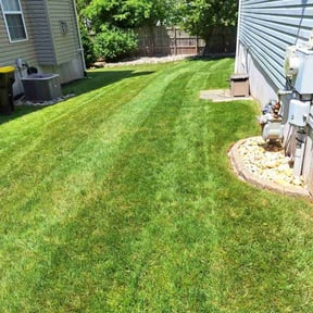 yard maintenance by Gia Mobile Detailing reviewed on August 19, 2025