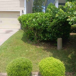Bush Trimming by Triple Crown Landscape reviewed on August 20, 2025