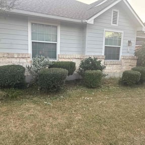 Bush Trimming by Growpro reviewed on November 8, 2025