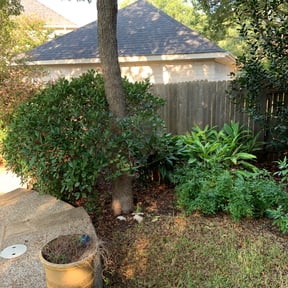 Bush Trimming by CjPressure reviewed on August 16, 2025